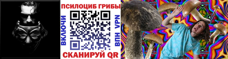 shop как зайти Сасово Псилоцибиновые грибы GOLDEN TEACHER OMG зеркало